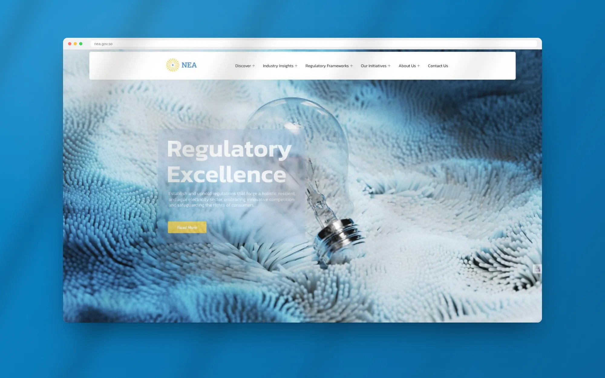 National Electricity Authority identity in use 01