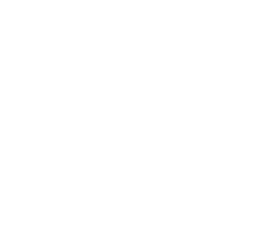Sokonami logo